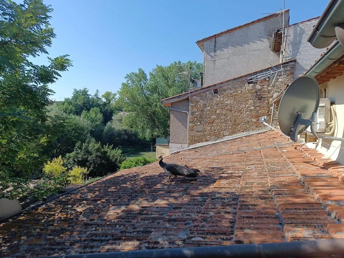 Il Bosco Sul Tevere Guest House Perugia Italy