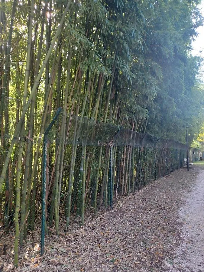 Apartment Il Bosco Sul Tevere Guest House Perugia Italy